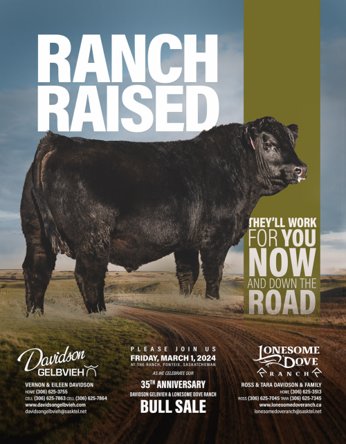 Ranch Raised. They'll work for you now and down the road. 35t Anniversary of our Bull Sale is Friday, March 1, 2024.