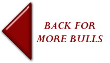 Click here to return to our Bulls page