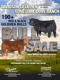 Click to see an enlargement of the Davidson and Lonesome Dove Gelbvieh Sale catalogue.