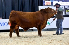 For over 45 years, Farmfair International has been one of Canadaâ€™s top agricultural shows and Alberta's largest beef cattle show.