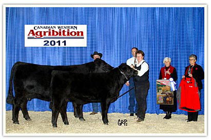 Ms Jim at the 2011 Canadian Western Agribition in Regina.