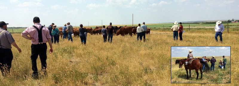 A good crowd joined us at the 2017 Pasture Tour.