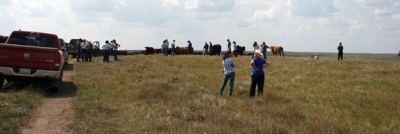 A good crowd joined us at the 2018 Pasture Tour.