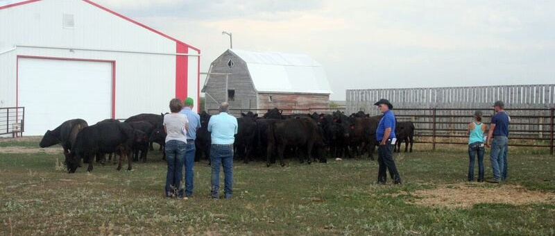 A good crowd joined us at the 2018 Pasture Tour.